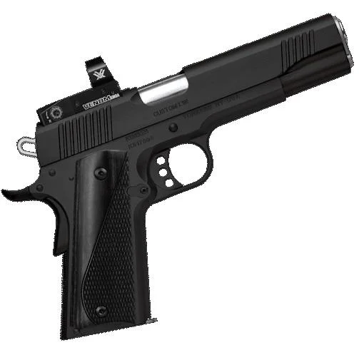 CUSTOM LW 1911 .45ACP W/RED DOT